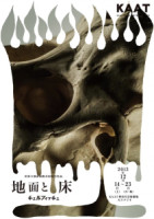 chelfitch_ground-floor0a